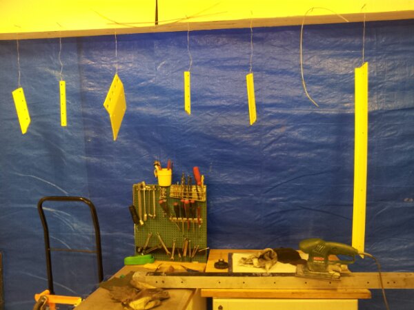 20130208_123520.jpg image