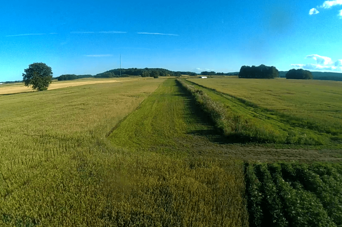 Möllebjörke Flygfält